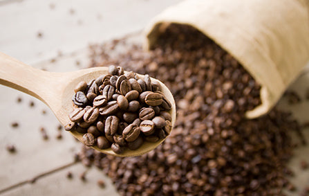 Sustainable Coffee – How Your  Choices Can Make a Difference