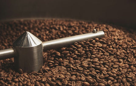 Sustainable Coffee – How Your  Choices Can Make a Difference